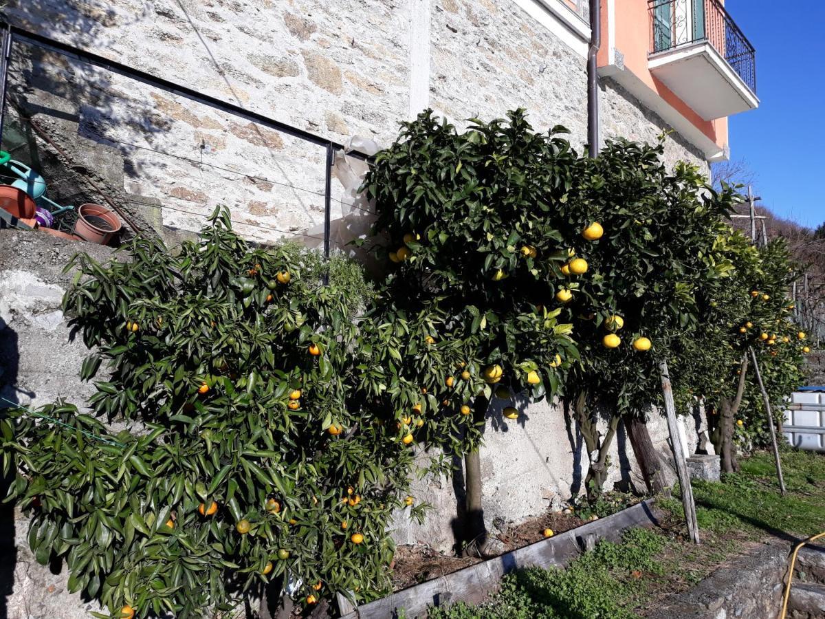 Casa Ai Castelli Apartman Cannobio Kültér fotó